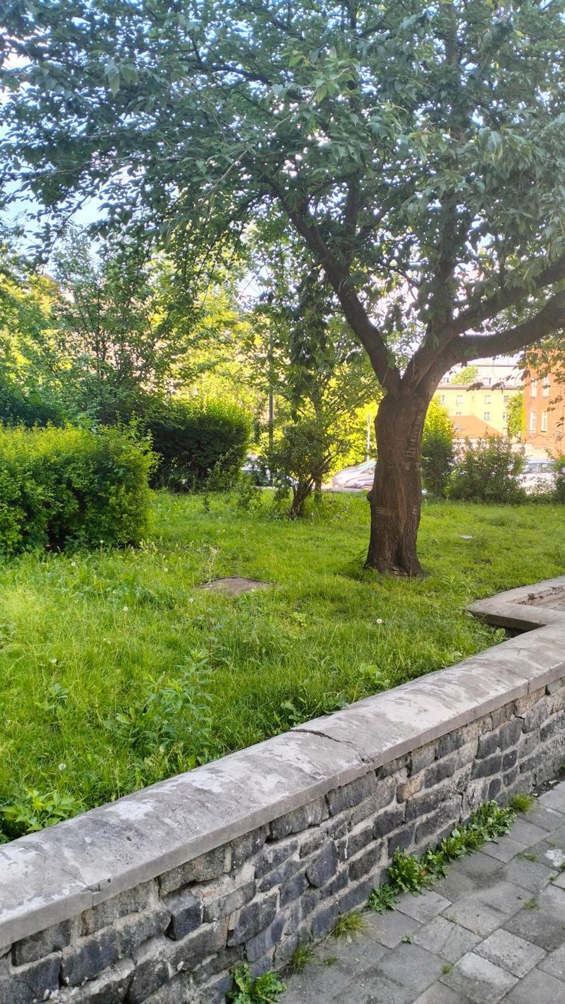 Apartament Night Host Krakowska 3 Przy Rynku Free Parking Bytom Zewnętrze zdjęcie